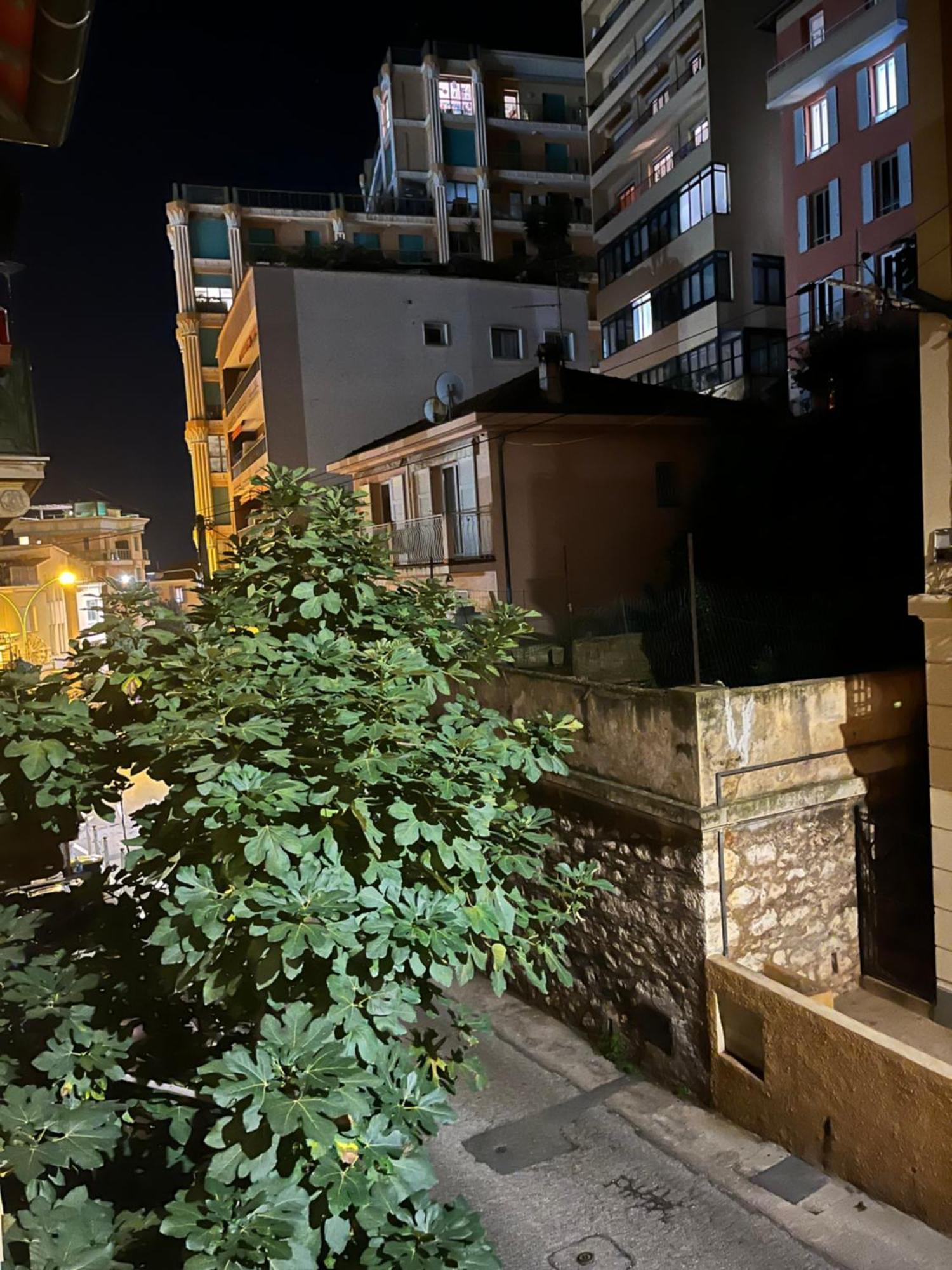 Duplex A La Frontiere De Monaco Διαμέρισμα Beausoleil Εξωτερικό φωτογραφία
